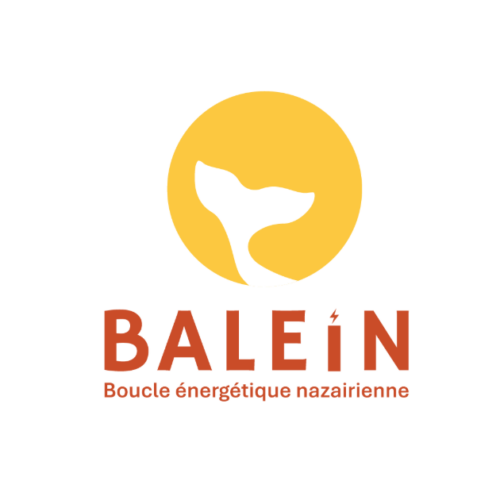 Logo BALEIN